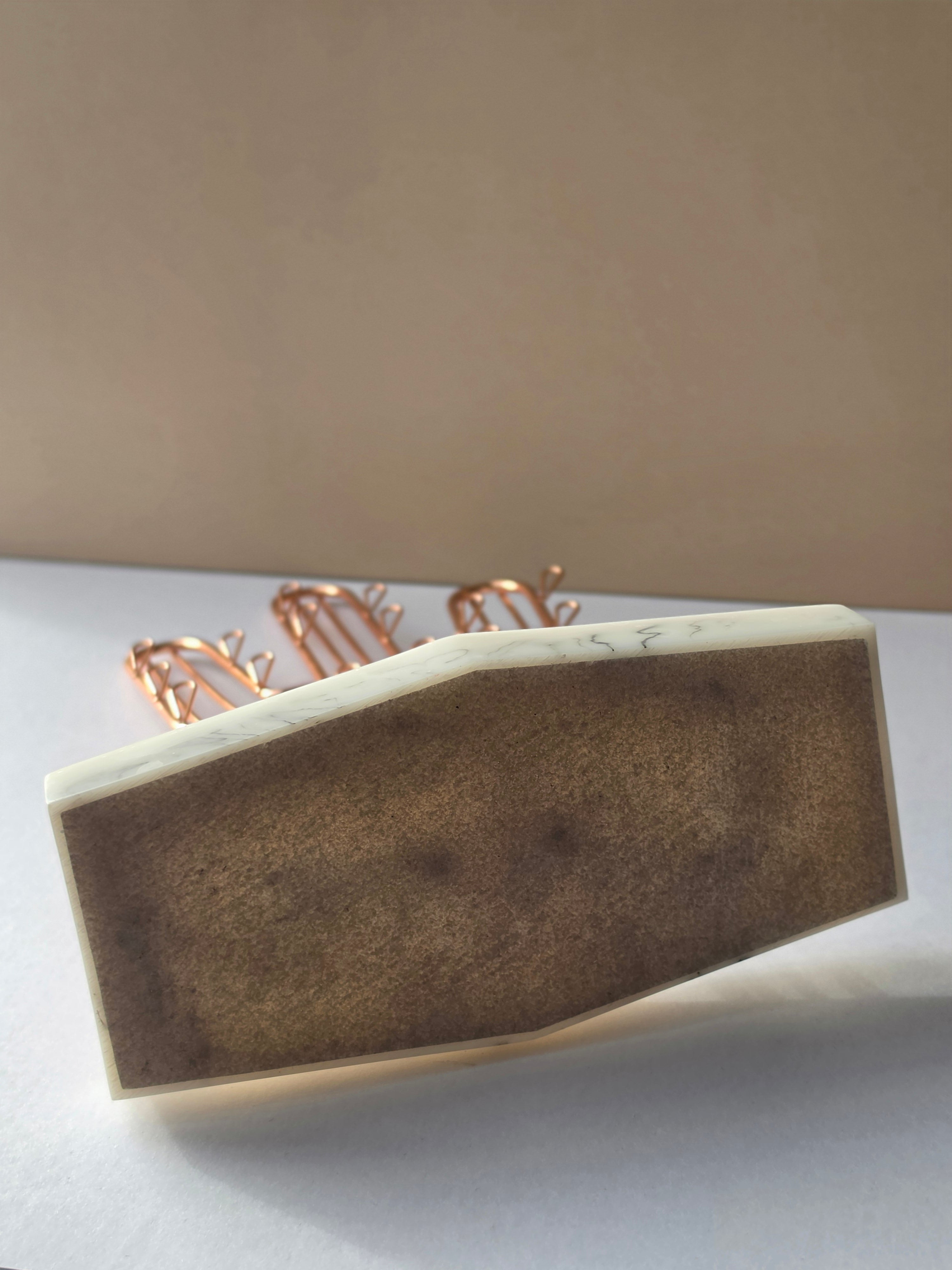 Desert Bloom — Rose Gold Wire Cactus Earring & Jewelry Holder