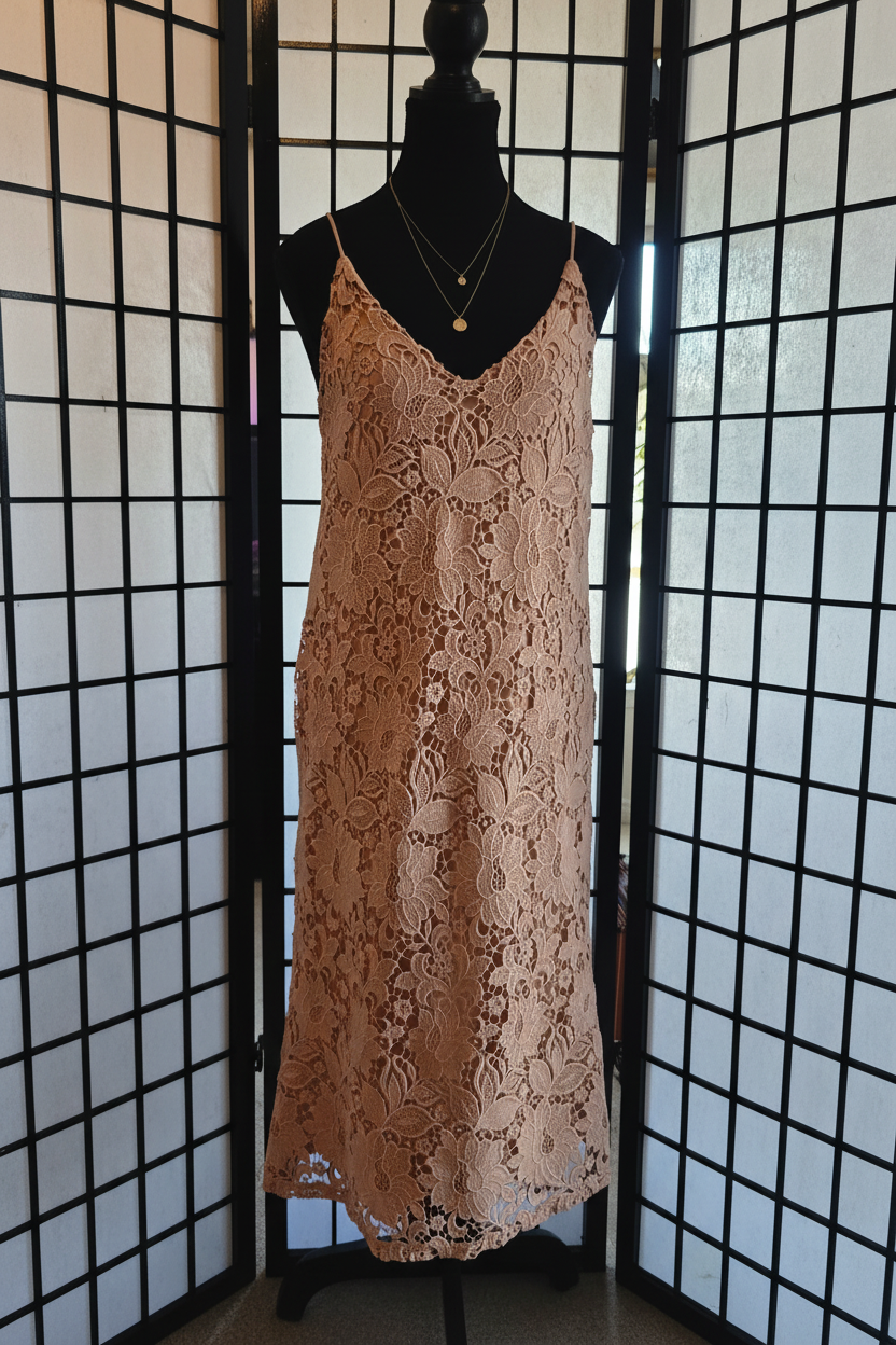 Romantic Dusty Rose Lace Slip Dress
