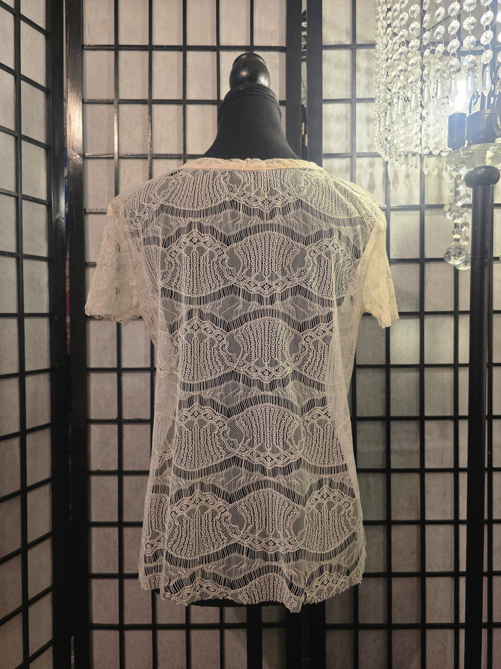Moonlit Lace Sonnet T-shirt Blouse