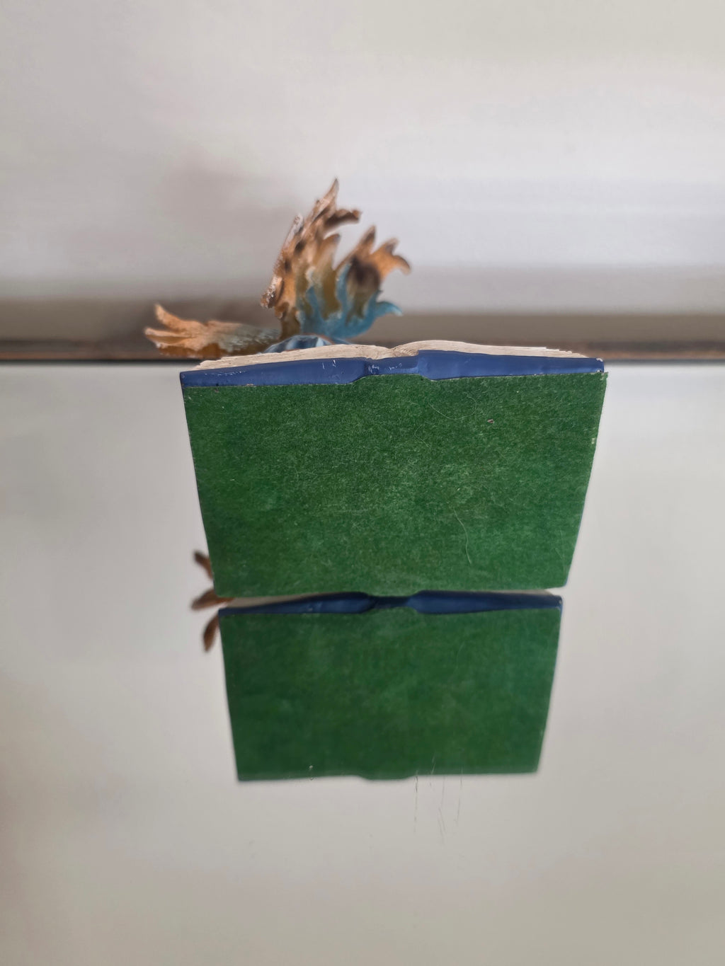 Whispers & Wings Fairy Figurine Set