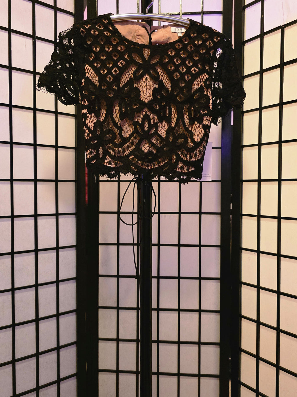 Enchanted Noir Lace Crop Blouse