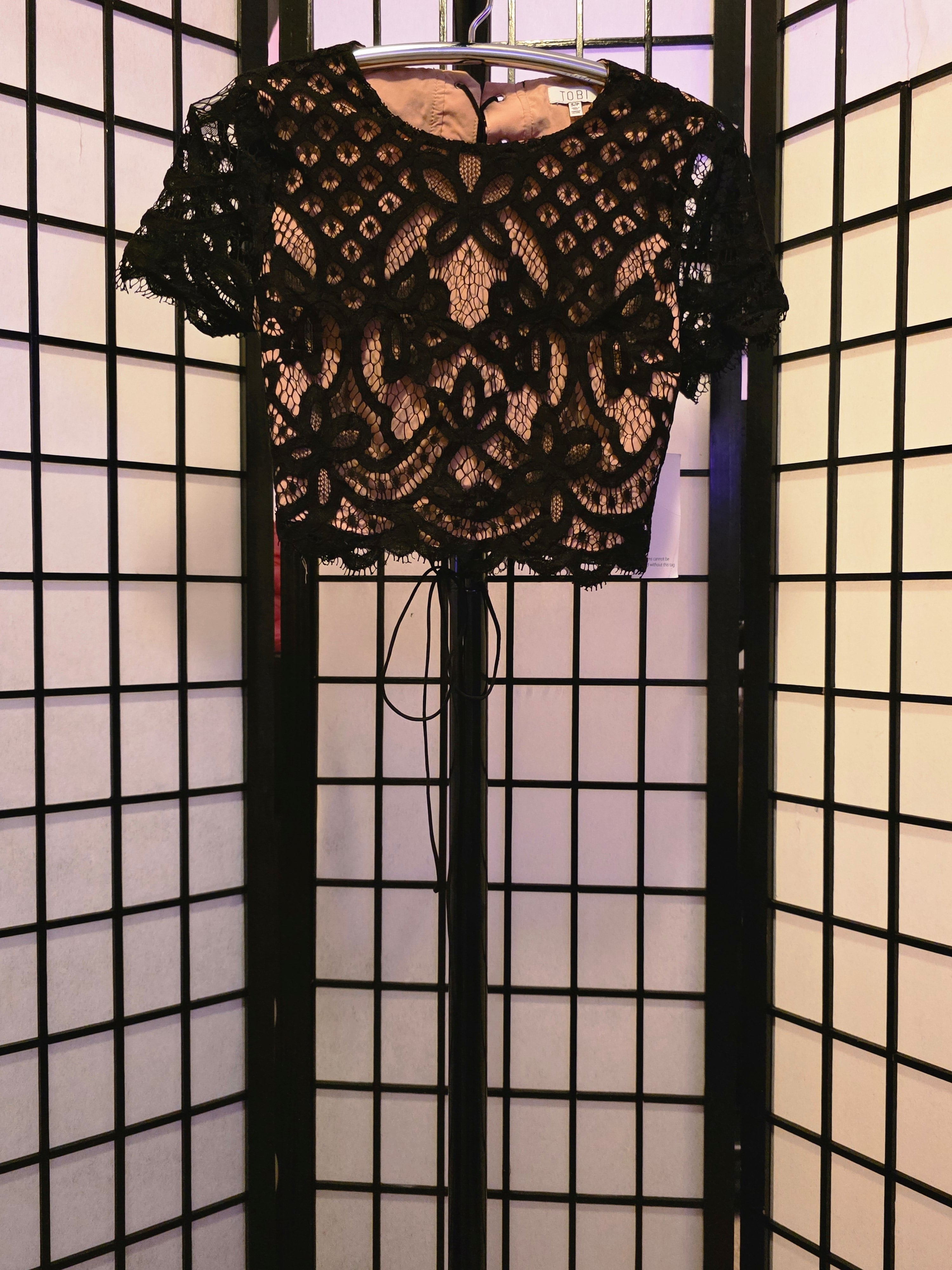 Enchanted Noir Lace Crop Blouse