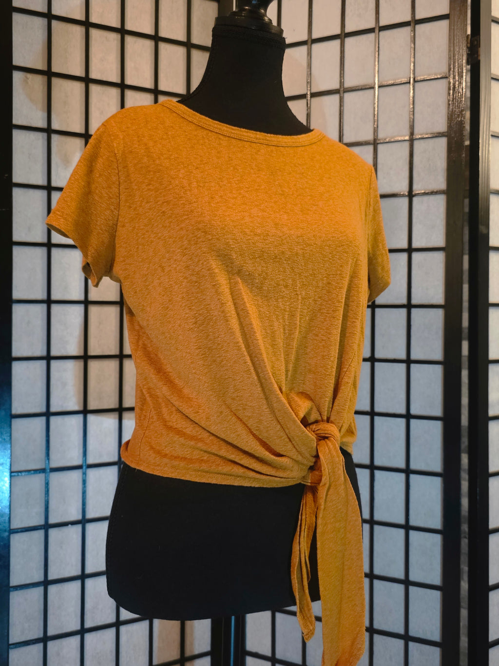 Sunny Days Tie-Bottom Top