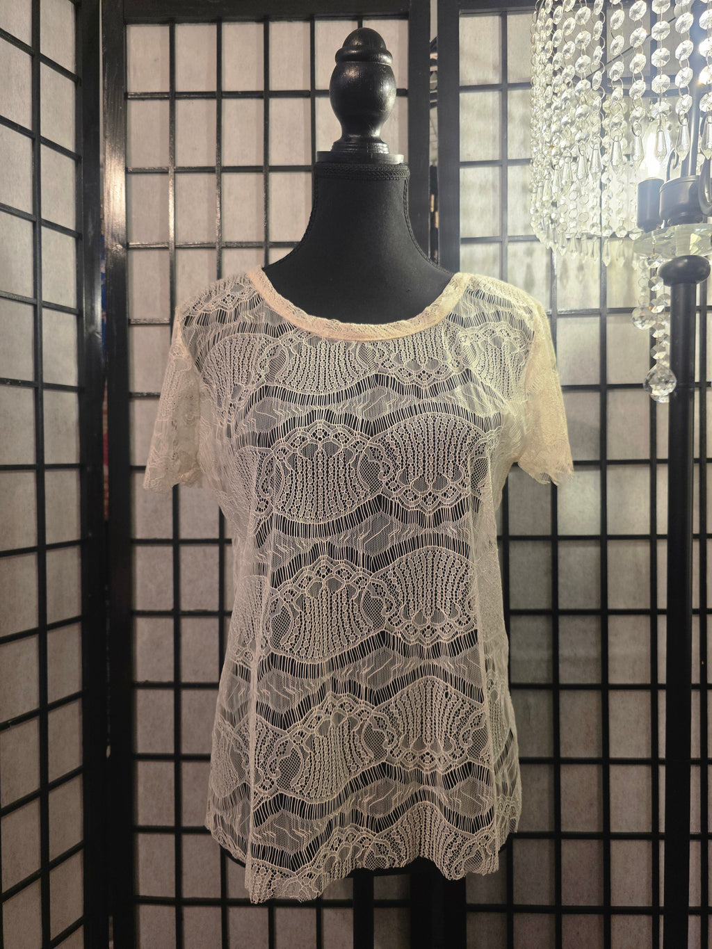 Moonlit Lace Sonnet T-shirt Blouse