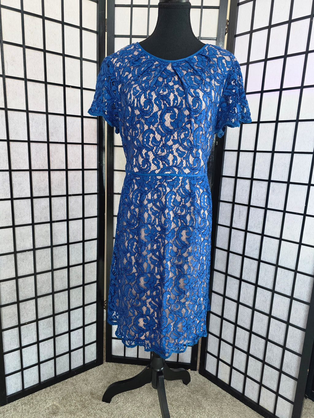 Timelessly Elegant Cobalt Lace Dress