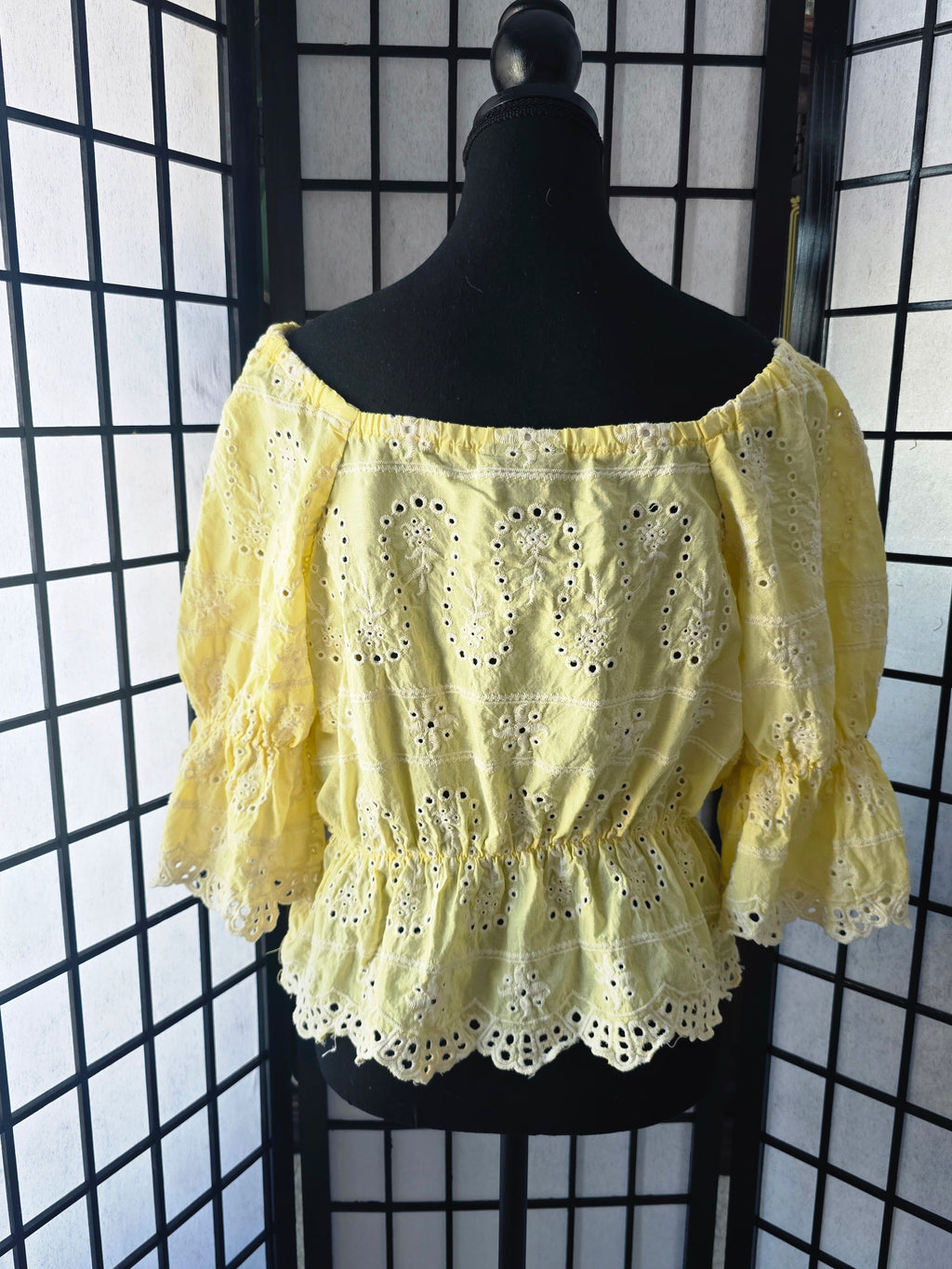 Luminously Embroidered Eyelet Blouse