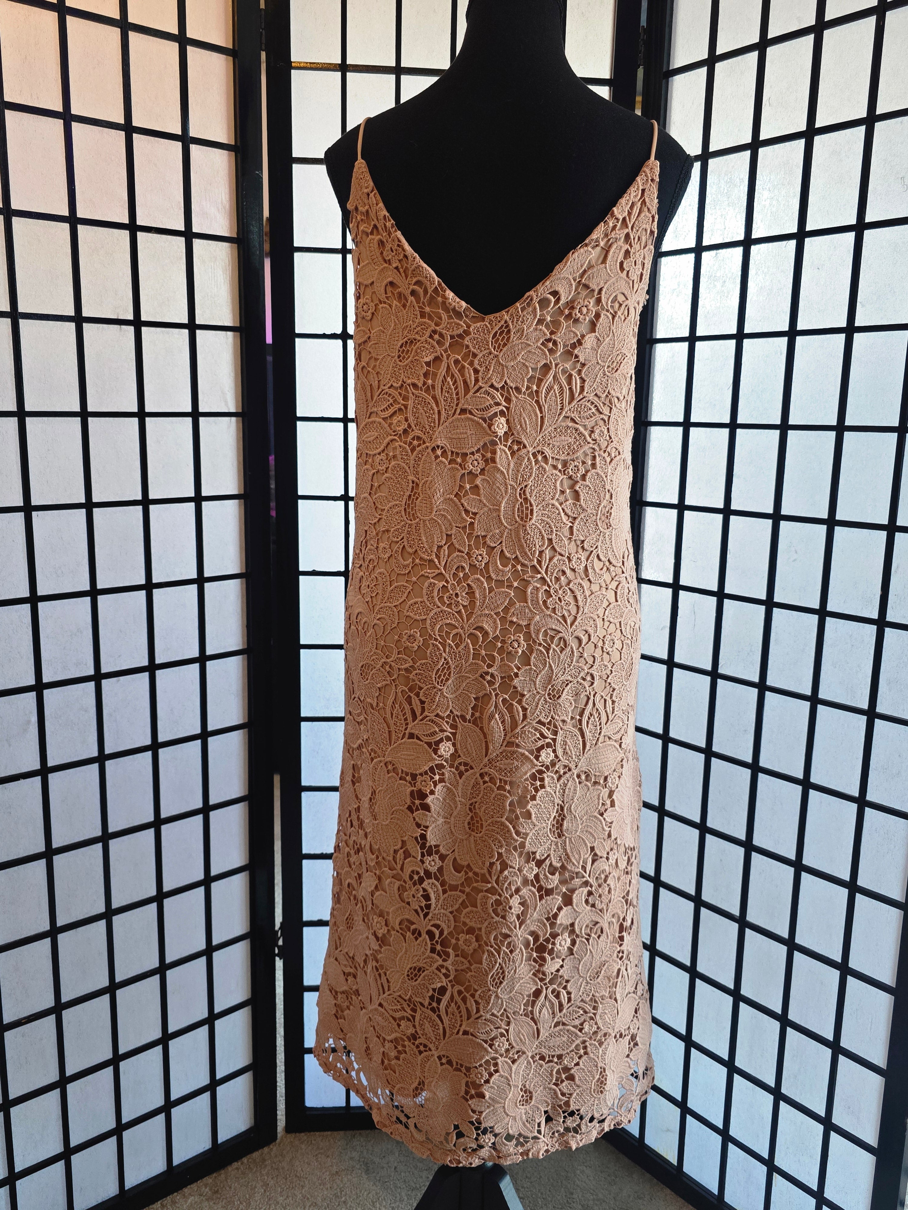 Romantic Dusty Rose Lace Slip Dress