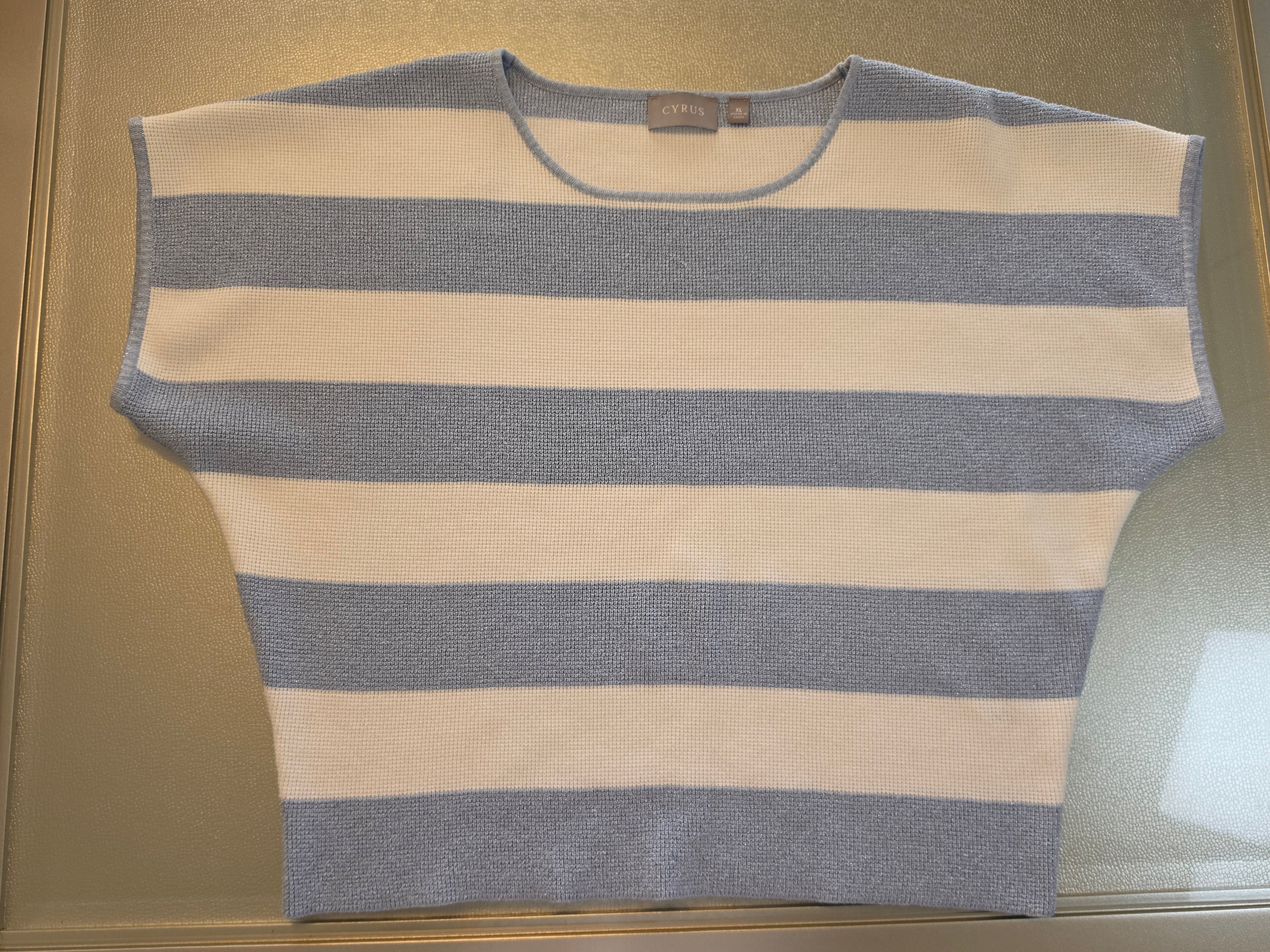 The Shimmer Shore — Cyrus Stripe Knit Batwing Top