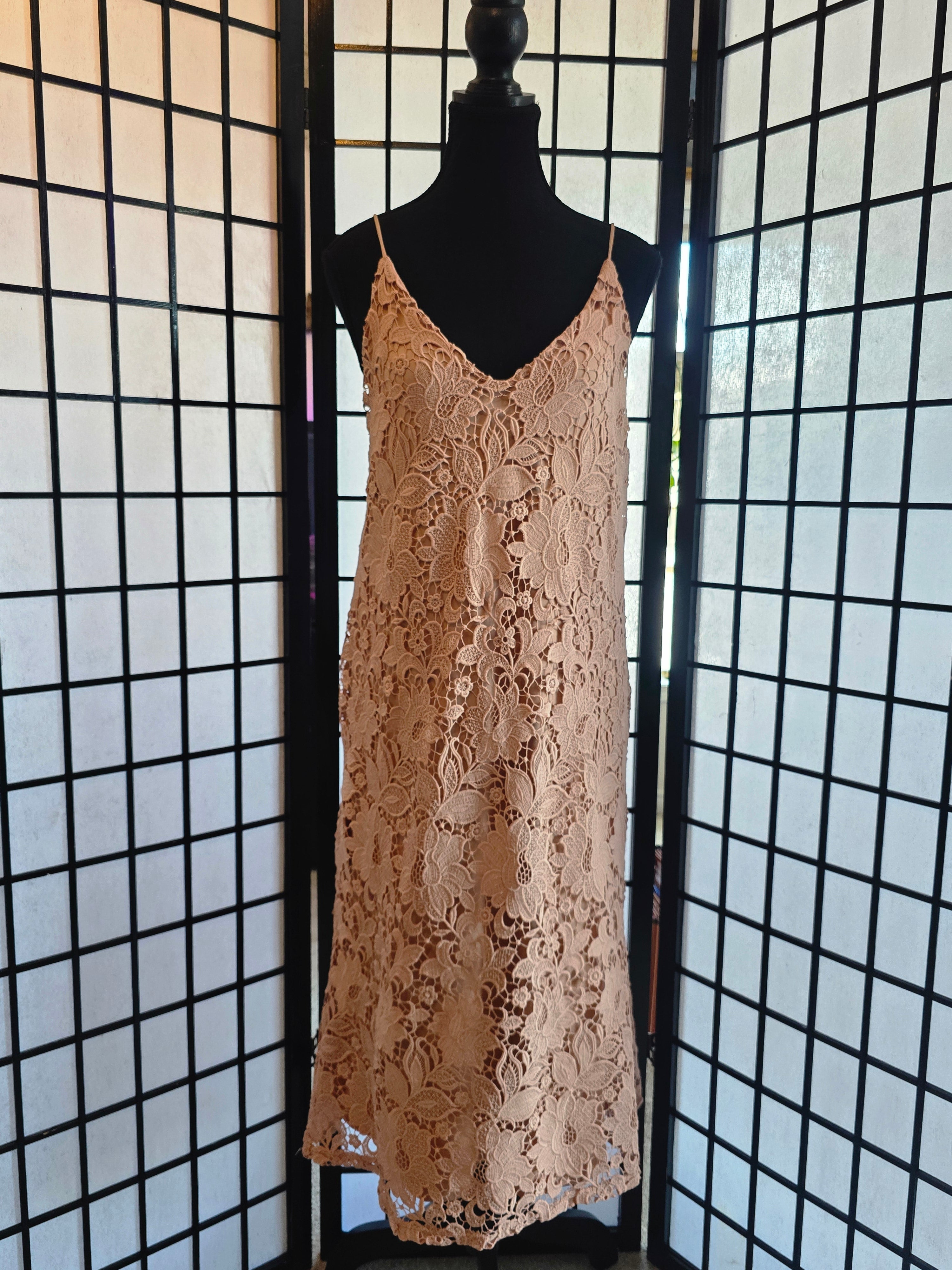 Romantic Dusty Rose Lace Slip Dress