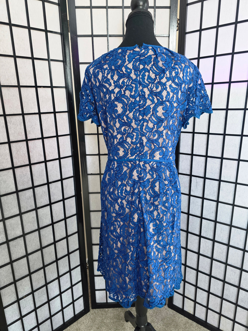 Timelessly Elegant Cobalt Lace Dress