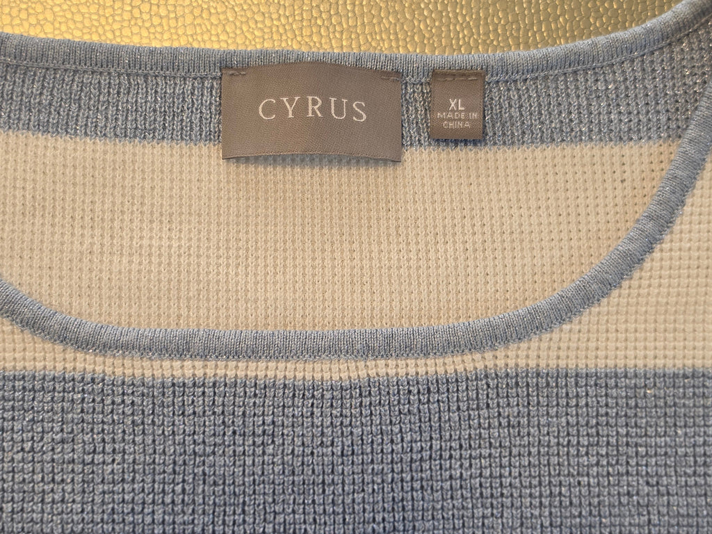 The Shimmer Shore — Cyrus Stripe Knit Batwing Top