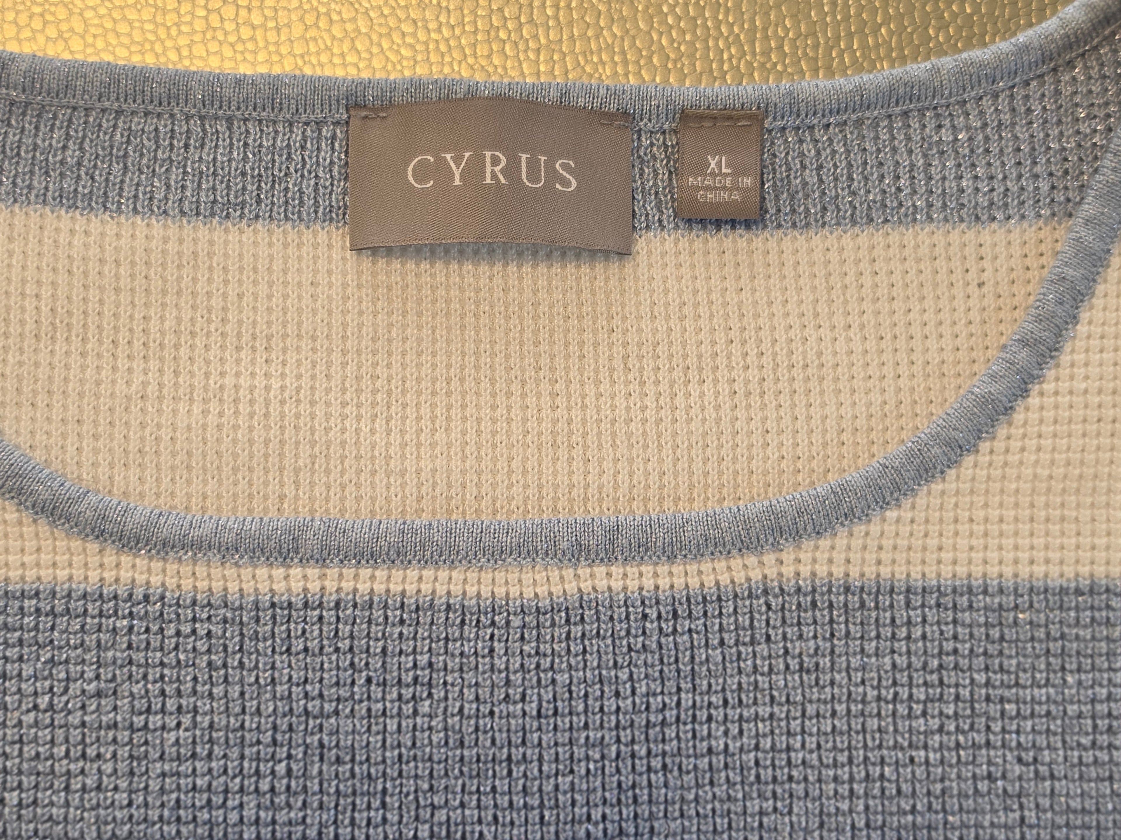 The Shimmer Shore — Cyrus Stripe Knit Batwing Top
